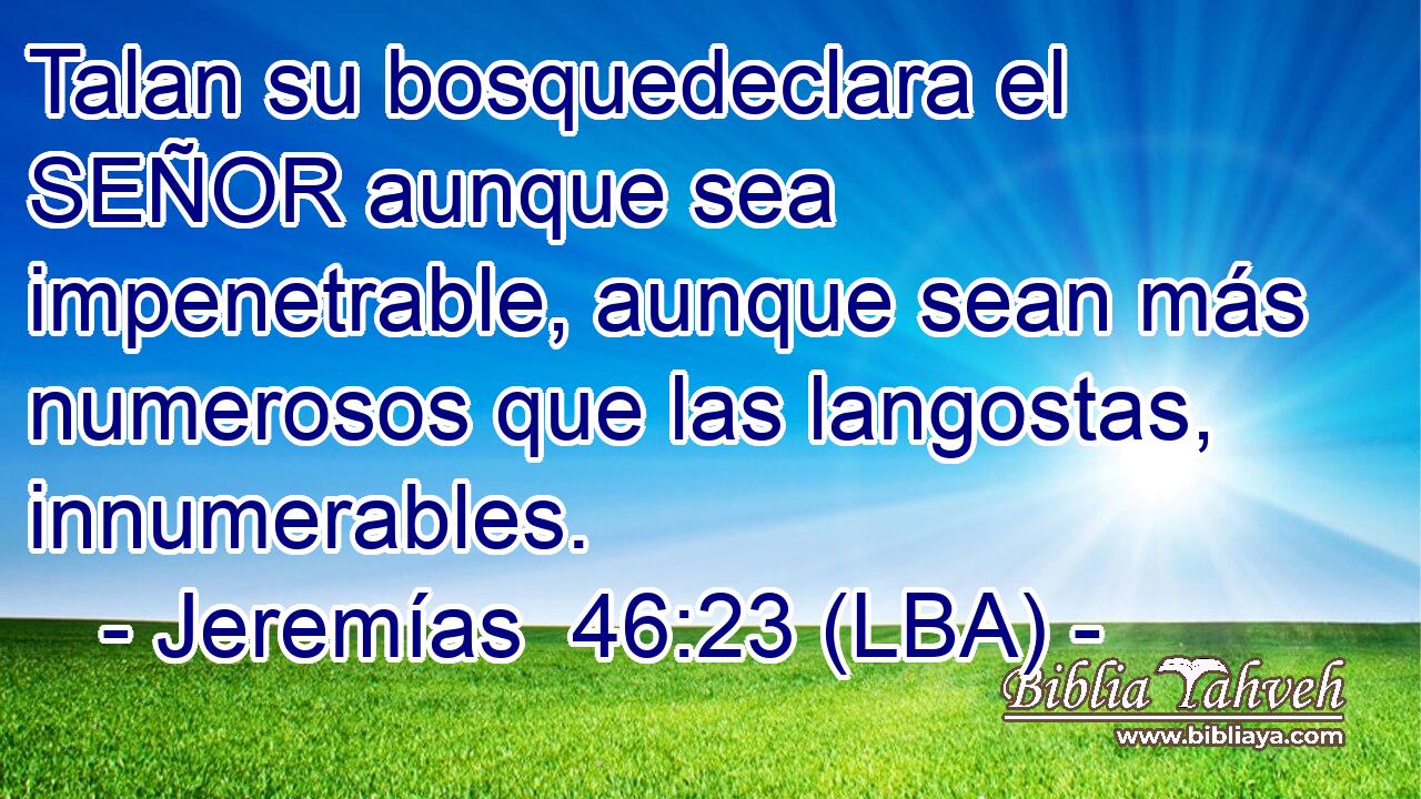 Talan su bosquedeclara el SEÑOR aunque sea impenetrable, aunque sean más numerosos que las langostas, innumerables.