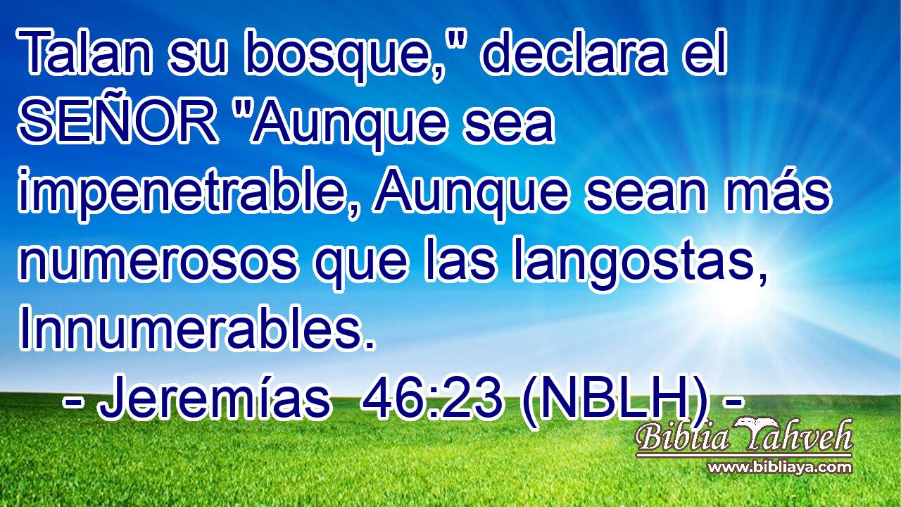  Talan su bosque,