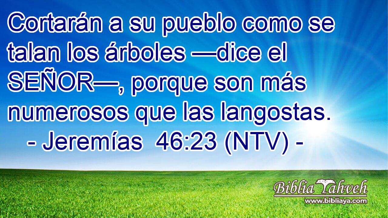 Cortarán a su pueblo como se talan los árboles —dice el SEÑOR—, porque son más numerosos que las langostas.