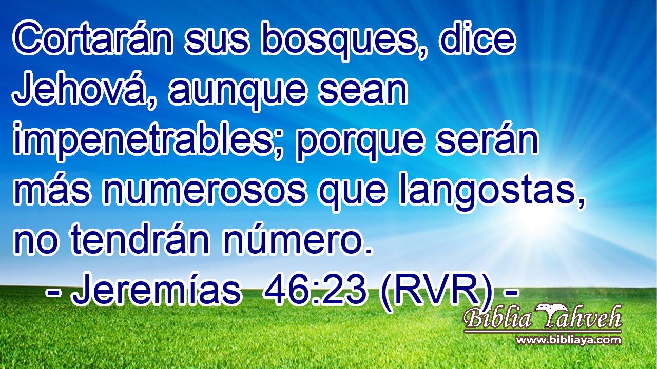 Cortarán sus bosques, dice Jehová, aunque sean impenetrables; porque serán más numerosos que langostas, no tendrán número.