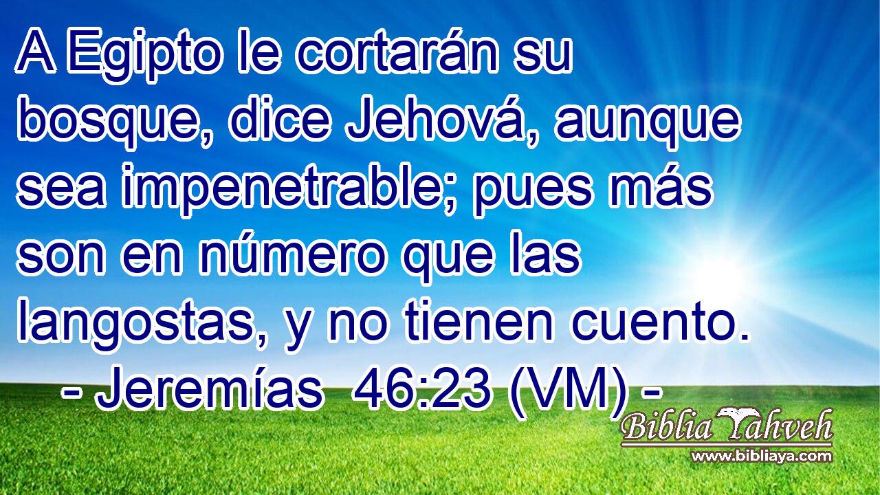  A Egipto le cortarán su bosque, dice Jehová, aunque sea impenetrable; pues más son en número que las langostas, y no tienen cuento. 