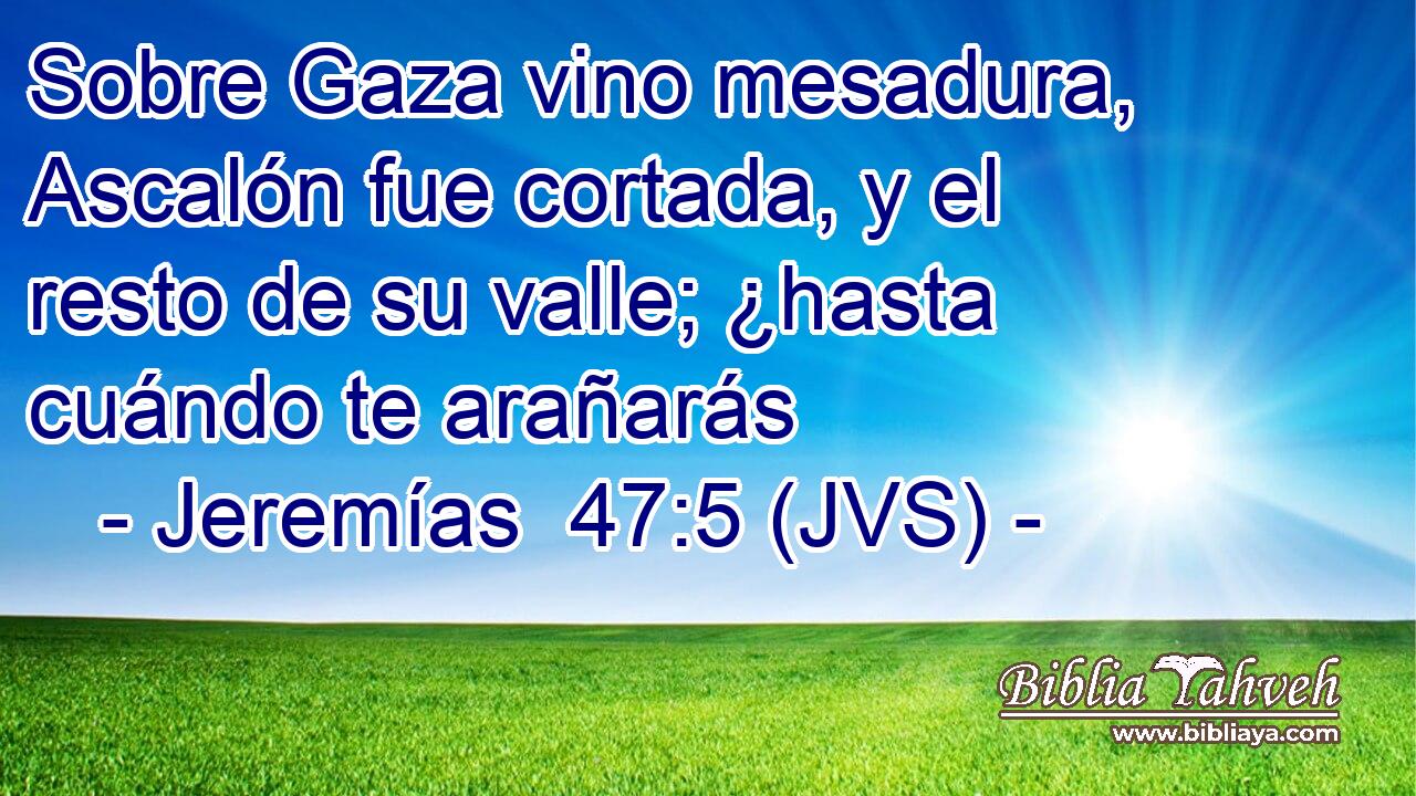 Sobre Gaza vino mesadura, Ascalón fue cortada, y el resto de su valle; ¿hasta cuándo te arañarás