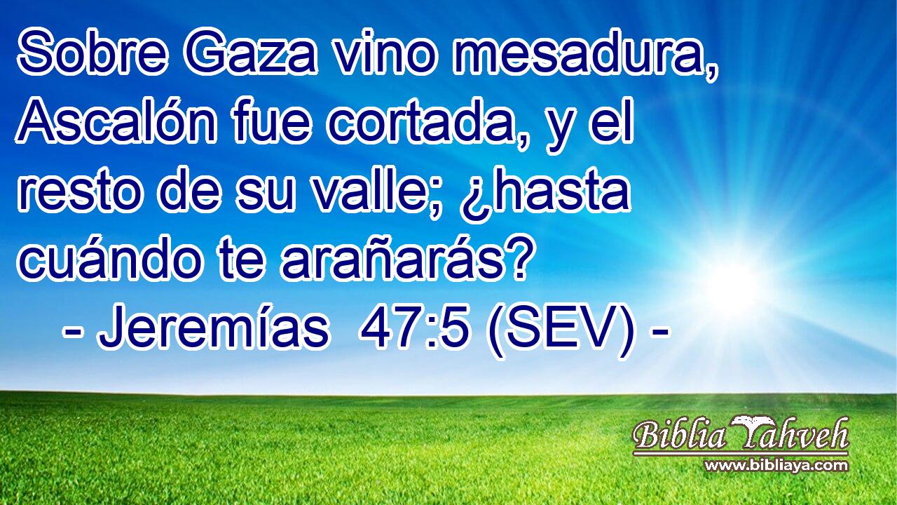 Sobre Gaza vino mesadura, Ascalón fue cortada, y el resto de su valle; ¿hasta cuándo te arañarás?