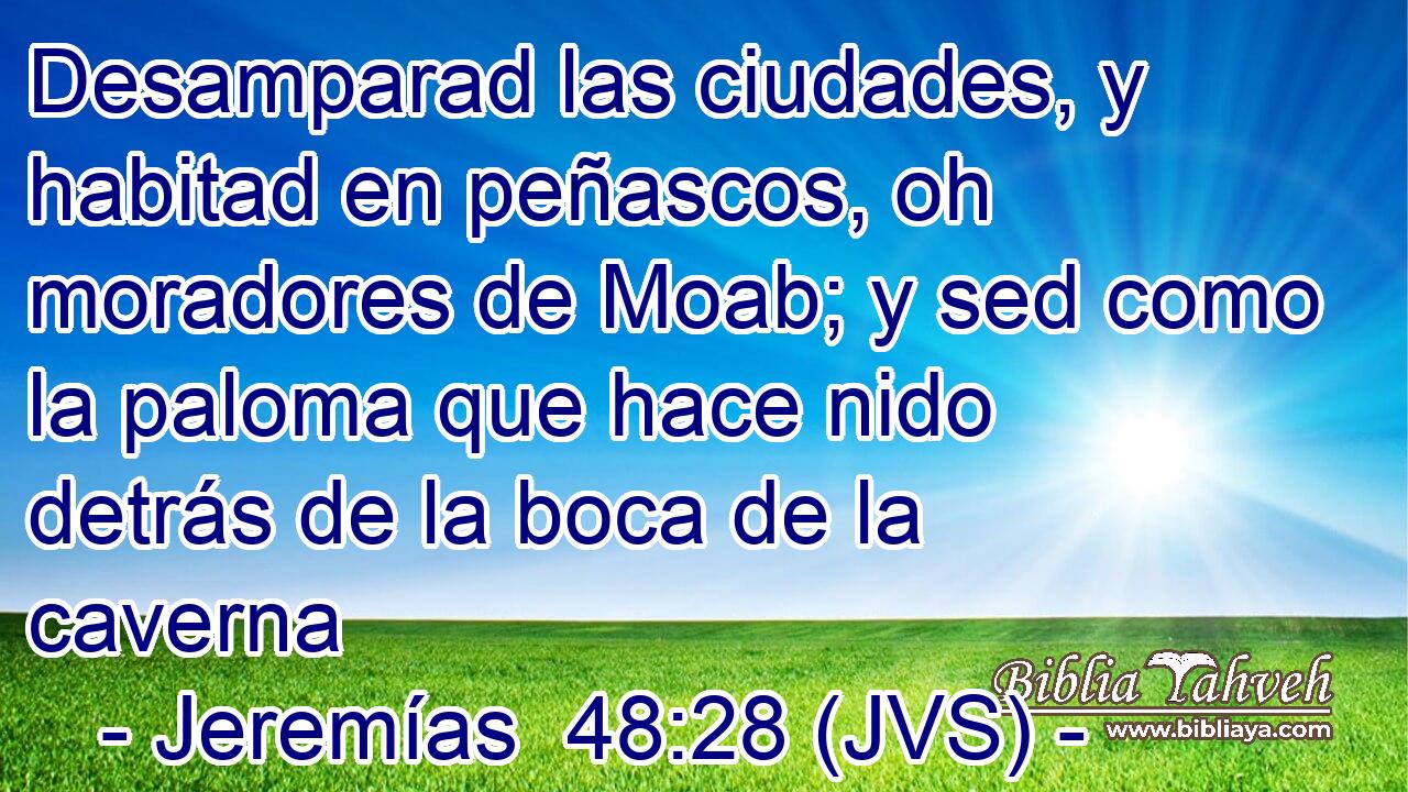 Desamparad las ciudades, y habitad en peñascos, oh moradores de Moab; y sed como la paloma que hace nido detrás de la boca de la caverna
