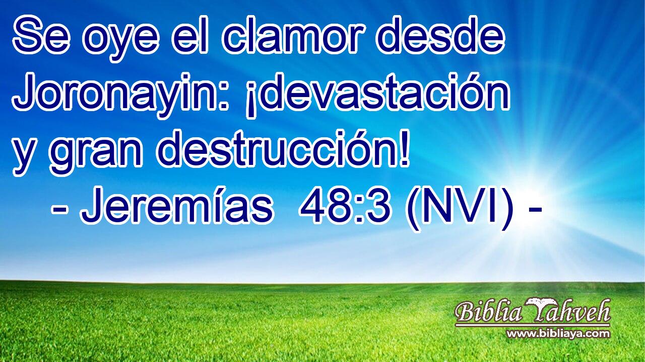  Se oye el clamor desde Joronayin: ¡devastación y gran destrucción! 