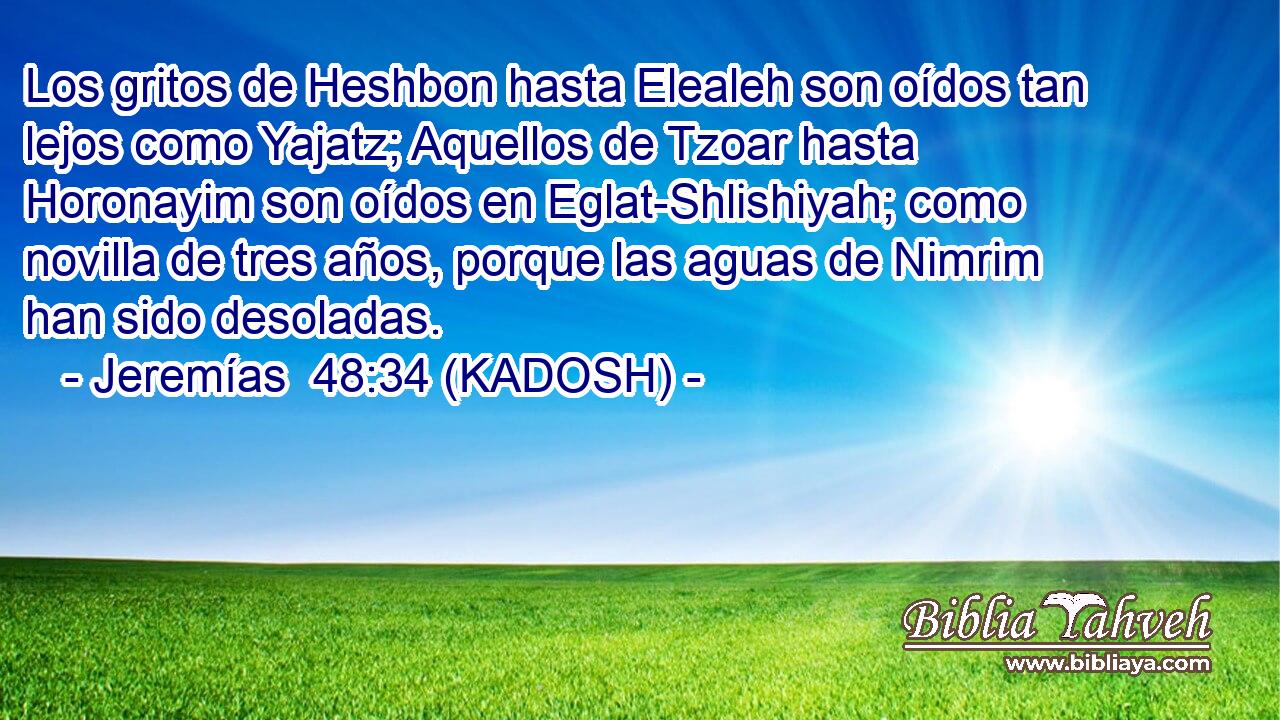  Los gritos de Heshbon hasta Elealeh son oídos tan lejos como Yajatz; Aquellos de Tzoar hasta Horonayim son oídos en Eglat-Shlishiyah; como novilla de tres años, porque las aguas de Nimrim han sido desoladas. 