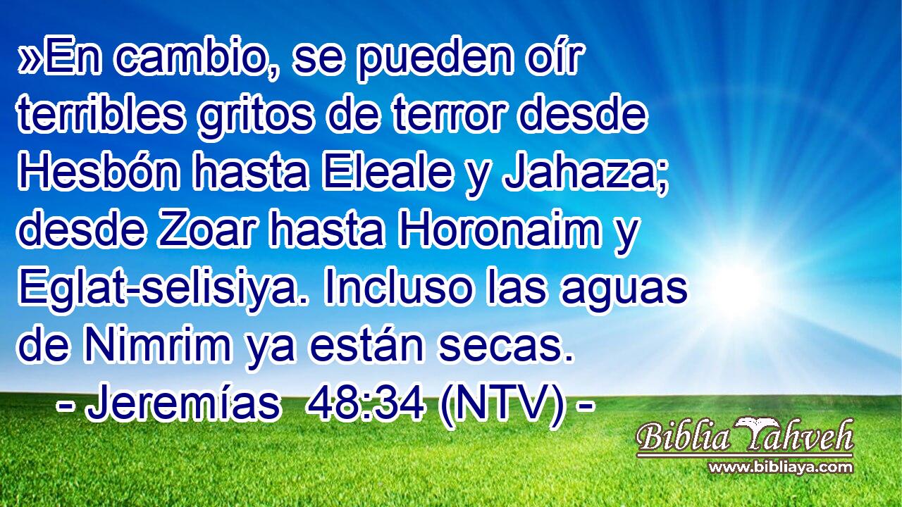 »En cambio, se pueden oír terribles gritos de terror desde Hesbón hasta Eleale y Jahaza; desde Zoar hasta Horonaim y Eglat-selisiya. Incluso las aguas de Nimrim ya están secas.