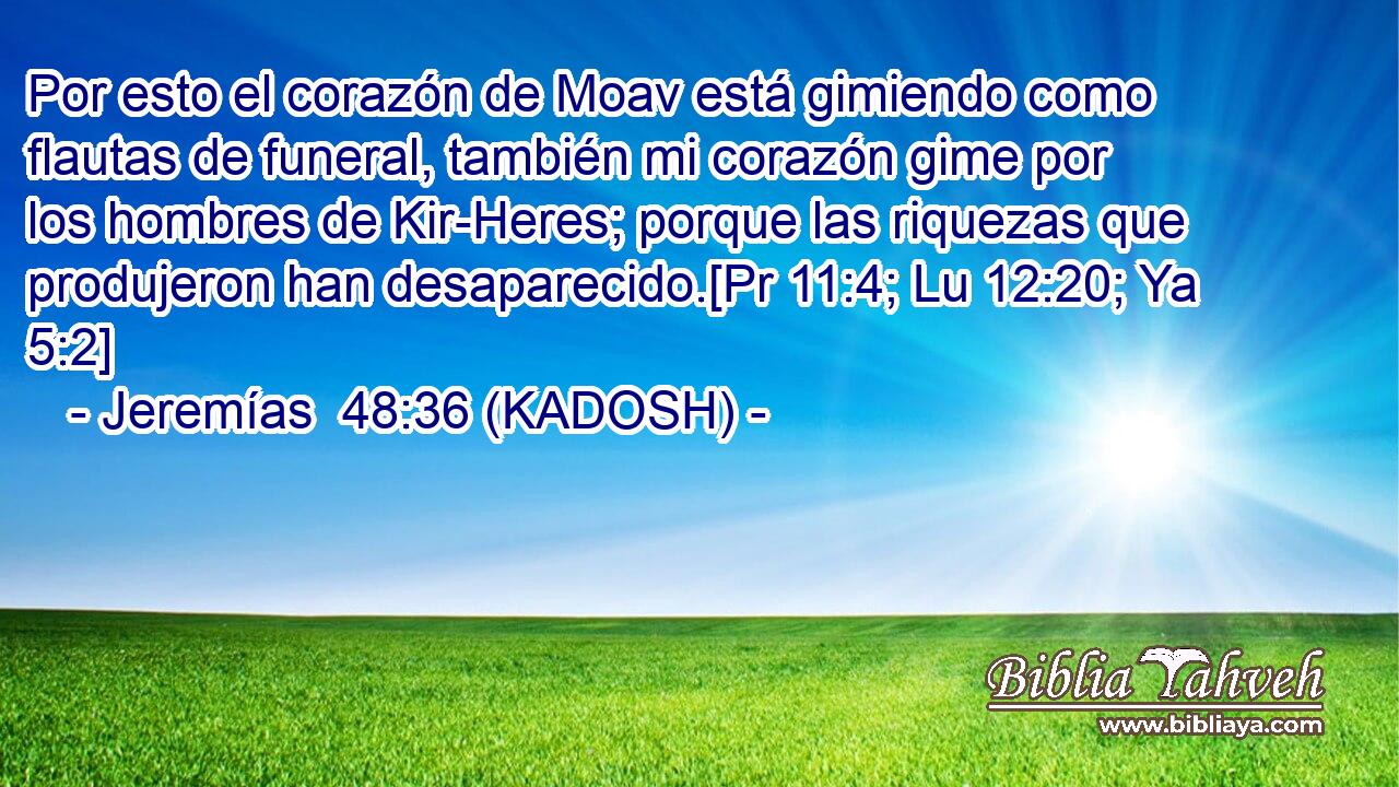  Por esto el corazón de Moav está gimiendo como flautas de funeral, también mi corazón gime por los hombres de Kir-Heres; porque las riquezas que produjeron han desaparecido.[Pr 11:4; Lu 12:20; Ya 5:2] 