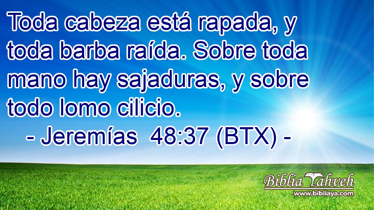 Toda cabeza está rapada, y toda barba raída. Sobre toda mano hay sajaduras, y sobre todo lomo cilicio.