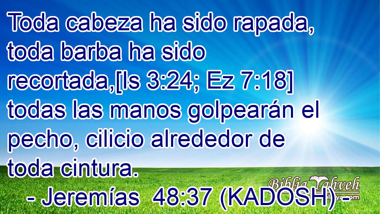  Toda cabeza ha sido rapada, toda barba ha sido recortada,[Is 3:24; Ez 7:18] todas las manos golpearán el pecho, cilicio alrededor de toda cintura. 