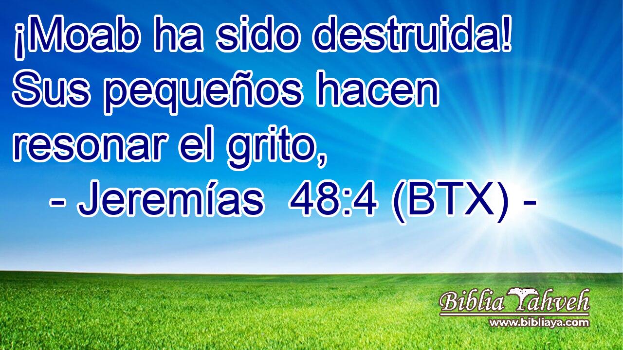 ¡Moab ha sido destruida! Sus pequeños hacen resonar el grito,