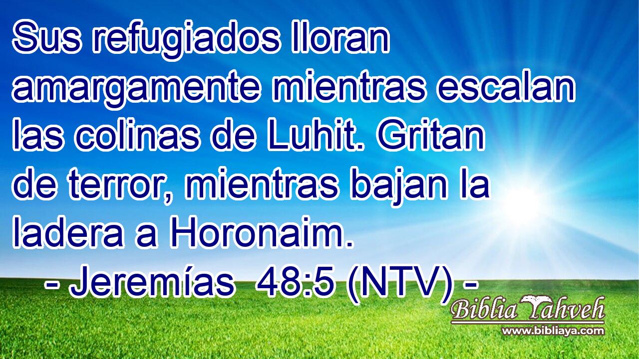 Sus refugiados lloran amargamente mientras escalan las colinas de Luhit. Gritan de terror, mientras bajan la ladera a Horonaim.