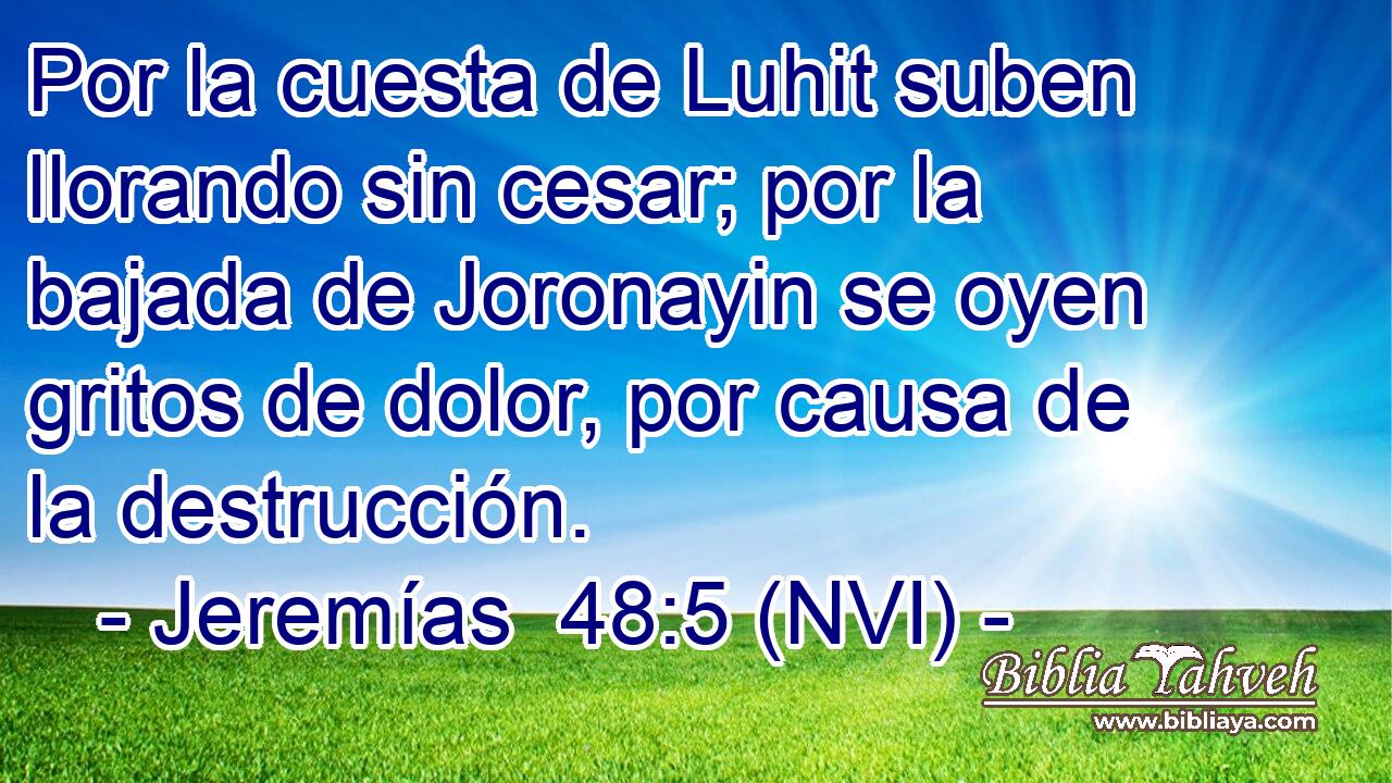  Por la cuesta de Luhit suben llorando sin cesar; por la bajada de Joronayin se oyen gritos de dolor, por causa de la destrucción. 