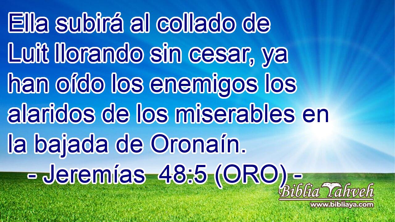  Ella subirá al collado de Luit llorando sin cesar, ya han oído los enemigos los alaridos de los miserables en la bajada de Oronaín. 
