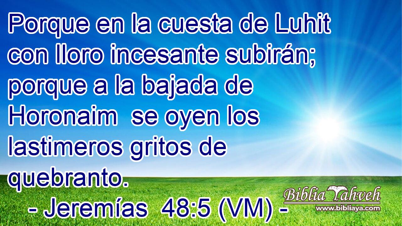  Porque en la cuesta de Luhit con lloro incesante subirán; porque a la bajada de Horonaim  se oyen los lastimeros gritos de quebranto. 