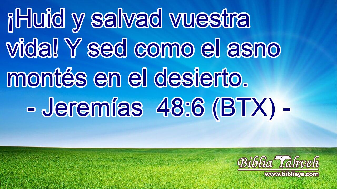 ¡Huid y salvad vuestra vida! Y sed como el asno montés en el desierto.