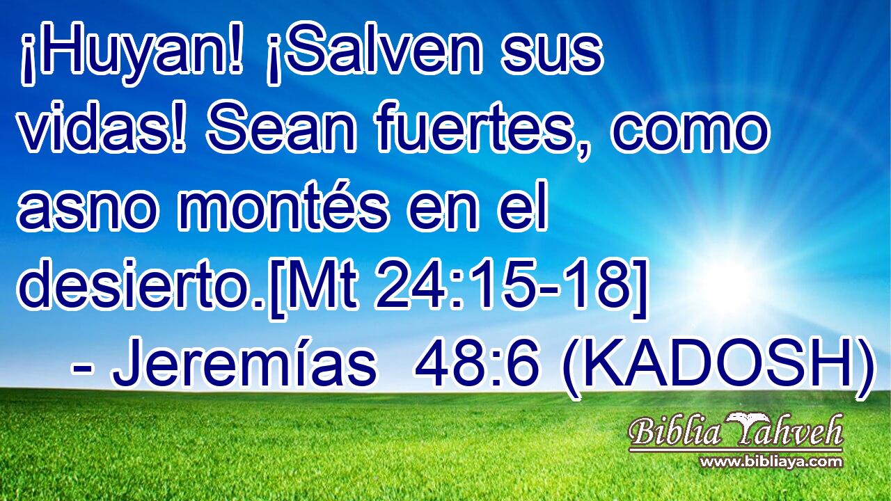  ¡Huyan! ¡Salven sus vidas! Sean fuertes, como asno montés en el desierto.[Mt 24:15-18] 