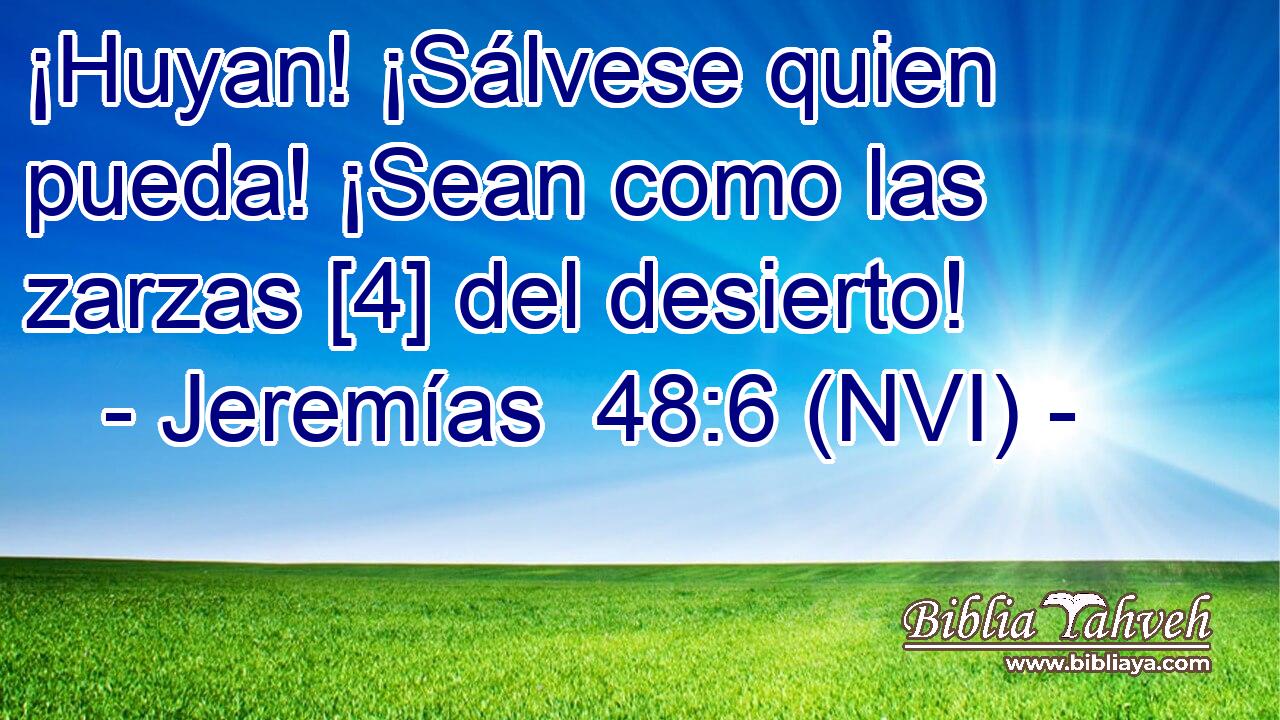  ¡Huyan! ¡Sálvese quien pueda! ¡Sean como las zarzas [4] del desierto! 