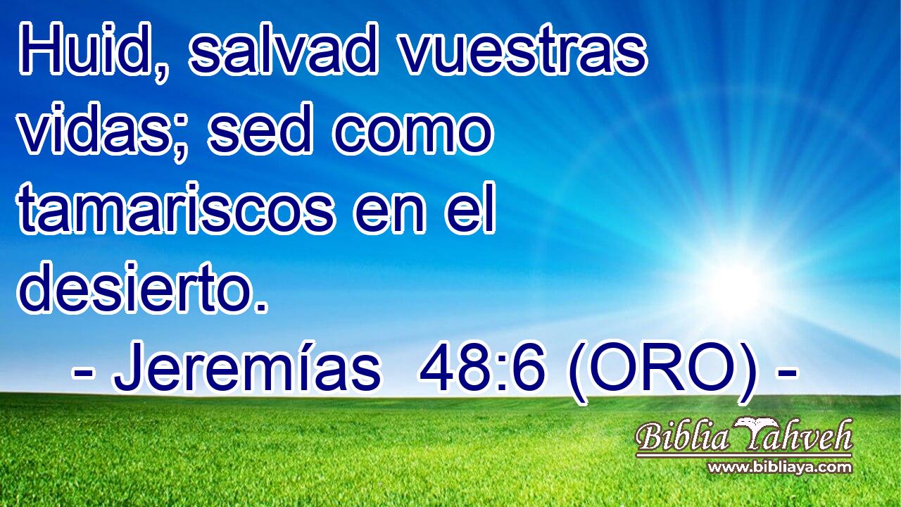  Huid, salvad vuestras vidas; sed como tamariscos en el desierto. 