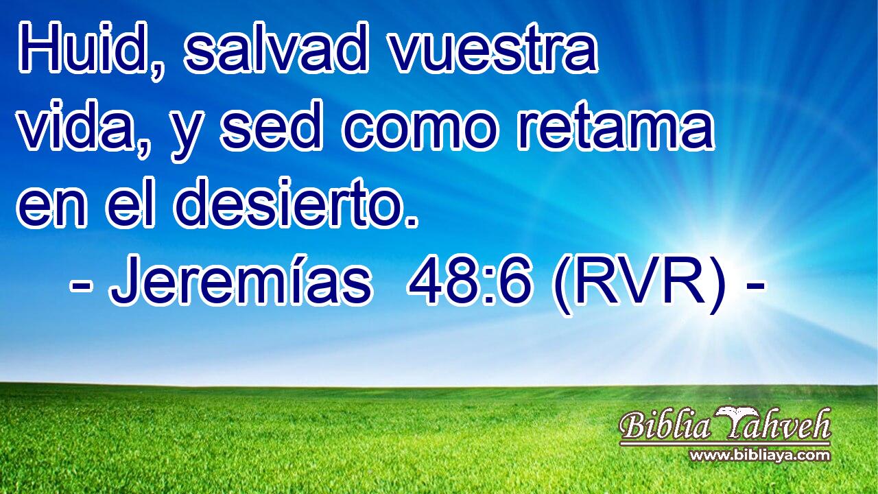 Huid, salvad vuestra vida, y sed como retama en el desierto.
