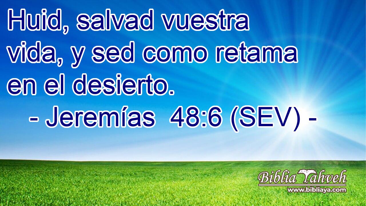 Huid, salvad vuestra vida, y sed como retama en el desierto.