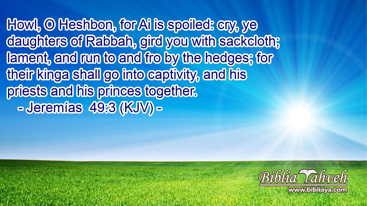 Howl, O Heshbon, for Ai is spoiled: cry, ye daughters of Rabbah, gird you with sackcloth; lament, and run to and fro by the hedges; for their kinga shall go into captivity, and his priests and his princes together.