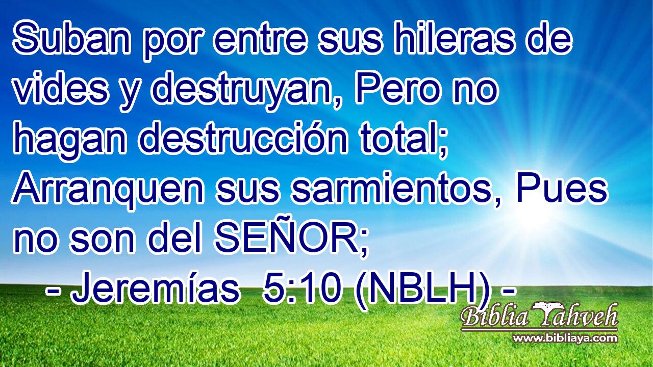  Suban por entre sus hileras de vides y destruyan, Pero no hagan destrucción total; Arranquen sus sarmientos, Pues no son del SEÑOR; 
