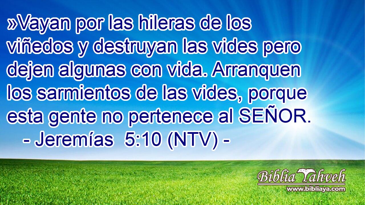 »Vayan por las hileras de los viñedos y destruyan las vides pero dejen algunas con vida. Arranquen los sarmientos de las vides, porque esta gente no pertenece al SEÑOR.