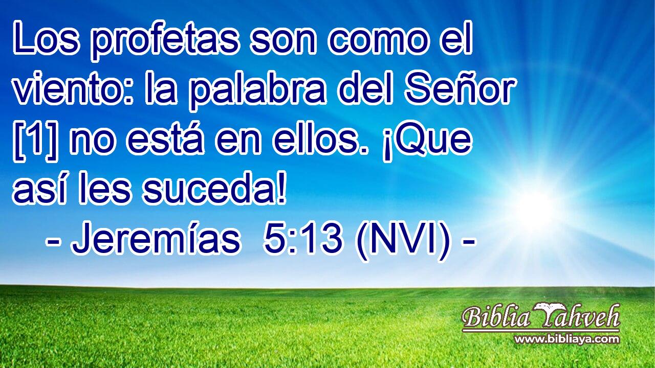  Los profetas son como el viento: la palabra del Señor [1] no está en ellos. ¡Que así les suceda! 