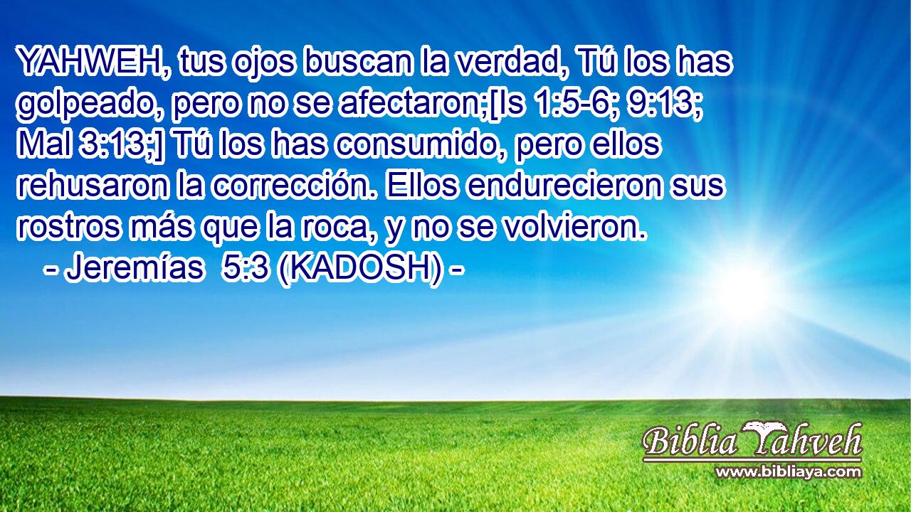  YAHWEH, tus ojos buscan la verdad, Tú los has golpeado, pero no se afectaron;[Is 1:5-6; 9:13; Mal 3:13;] Tú los has consumido, pero ellos rehusaron la corrección. Ellos endurecieron sus rostros más que la roca, y no se volvieron. 