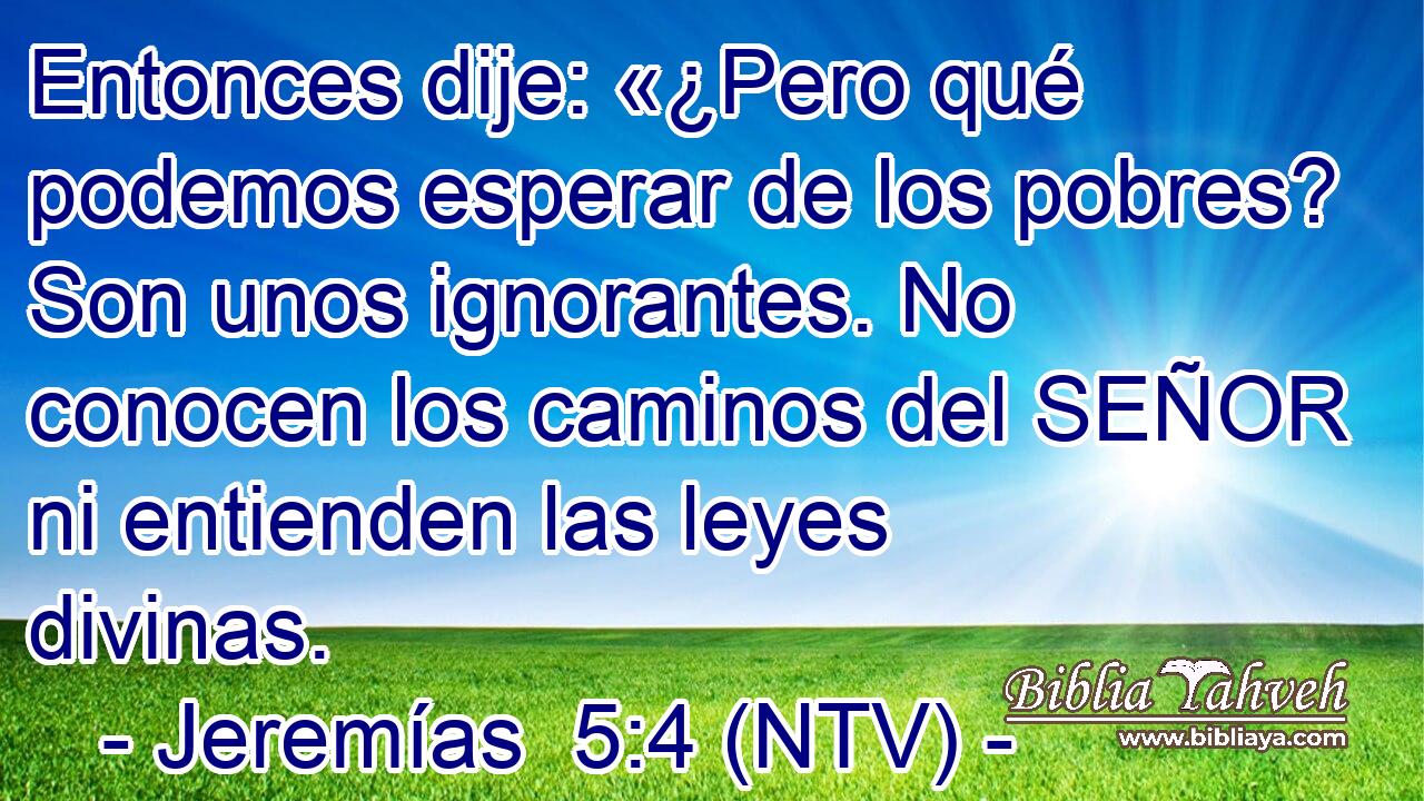 Entonces dije: «¿Pero qué podemos esperar de los pobres? Son unos ignorantes. No conocen los caminos del SEÑOR ni entienden las leyes divinas.