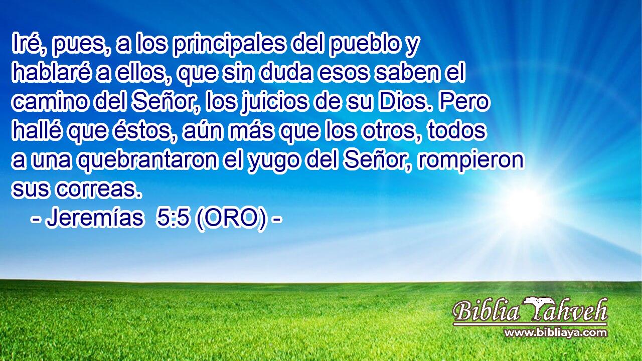  Iré, pues, a los principales del pueblo y hablaré a ellos, que sin duda esos saben el camino del Señor, los juicios de su Dios. Pero hallé que éstos, aún más que los otros, todos a una quebrantaron el yugo del Señor, rompieron sus correas. 