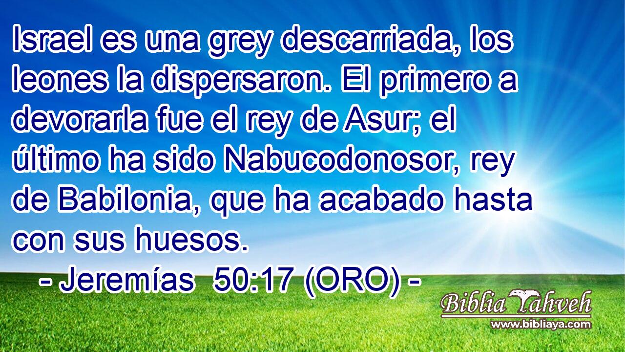  Israel es una grey descarriada, los leones la dispersaron. El primero a devorarla fue el rey de Asur; el último ha sido Nabucodonosor, rey de Babilonia, que ha acabado hasta con sus huesos. 