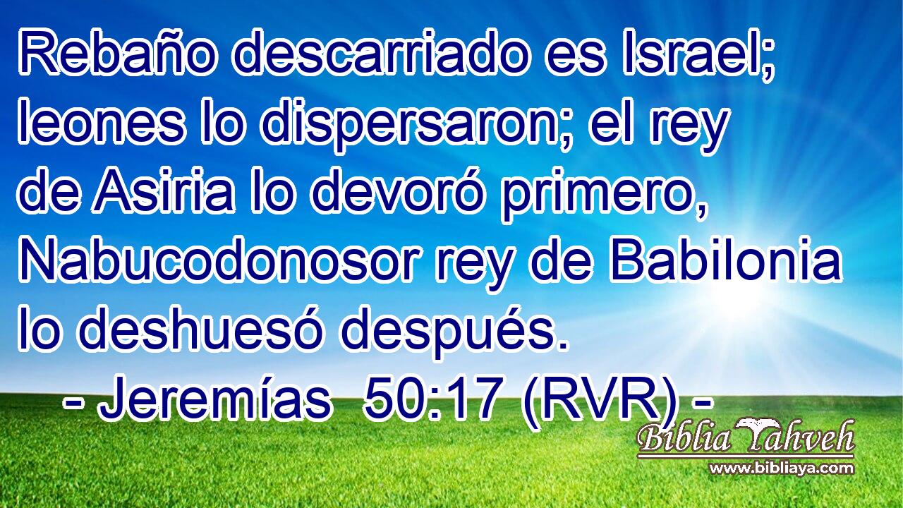 Rebaño descarriado es Israel; leones lo dispersaron; el rey de Asiria lo devoró primero, Nabucodonosor rey de Babilonia lo deshuesó después.
