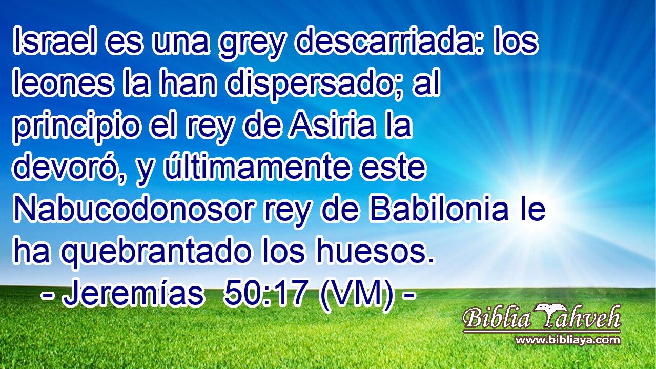  Israel es una grey descarriada: los leones la han dispersado; al principio el rey de Asiria la devoró, y últimamente este Nabucodonosor rey de Babilonia le ha quebrantado los huesos. 