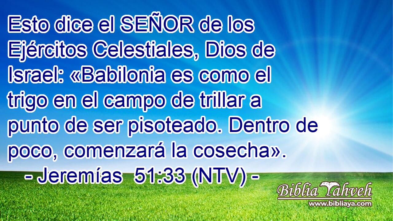 Esto dice el SEÑOR de los Ejércitos Celestiales, Dios de Israel: «Babilonia es como el trigo en el campo de trillar a punto de ser pisoteado. Dentro de poco, comenzará la cosecha».
