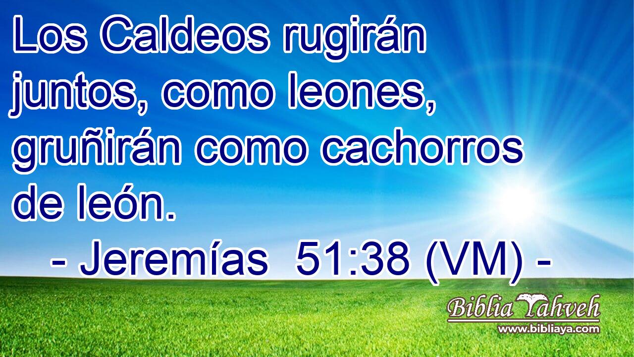  Los Caldeos rugirán juntos, como leones, gruñirán como cachorros de león. 