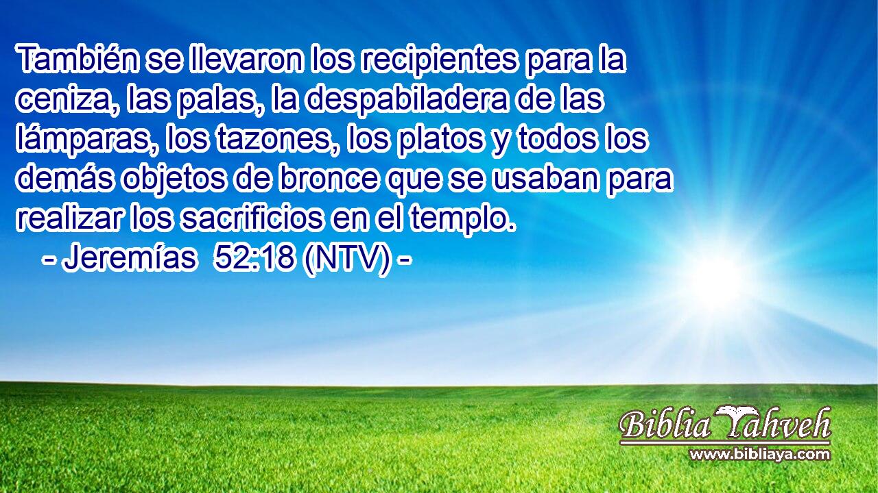 También se llevaron los recipientes para la ceniza, las palas, la despabiladera de las lámparas, los tazones, los platos y todos los demás objetos de bronce que se usaban para realizar los sacrificios en el templo.