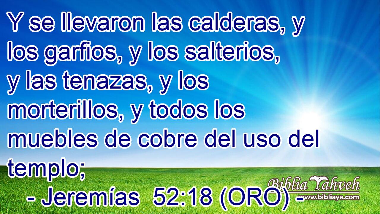  Y se llevaron las calderas, y los garfios, y los salterios, y las tenazas, y los morterillos, y todos los muebles de cobre del uso del templo; 