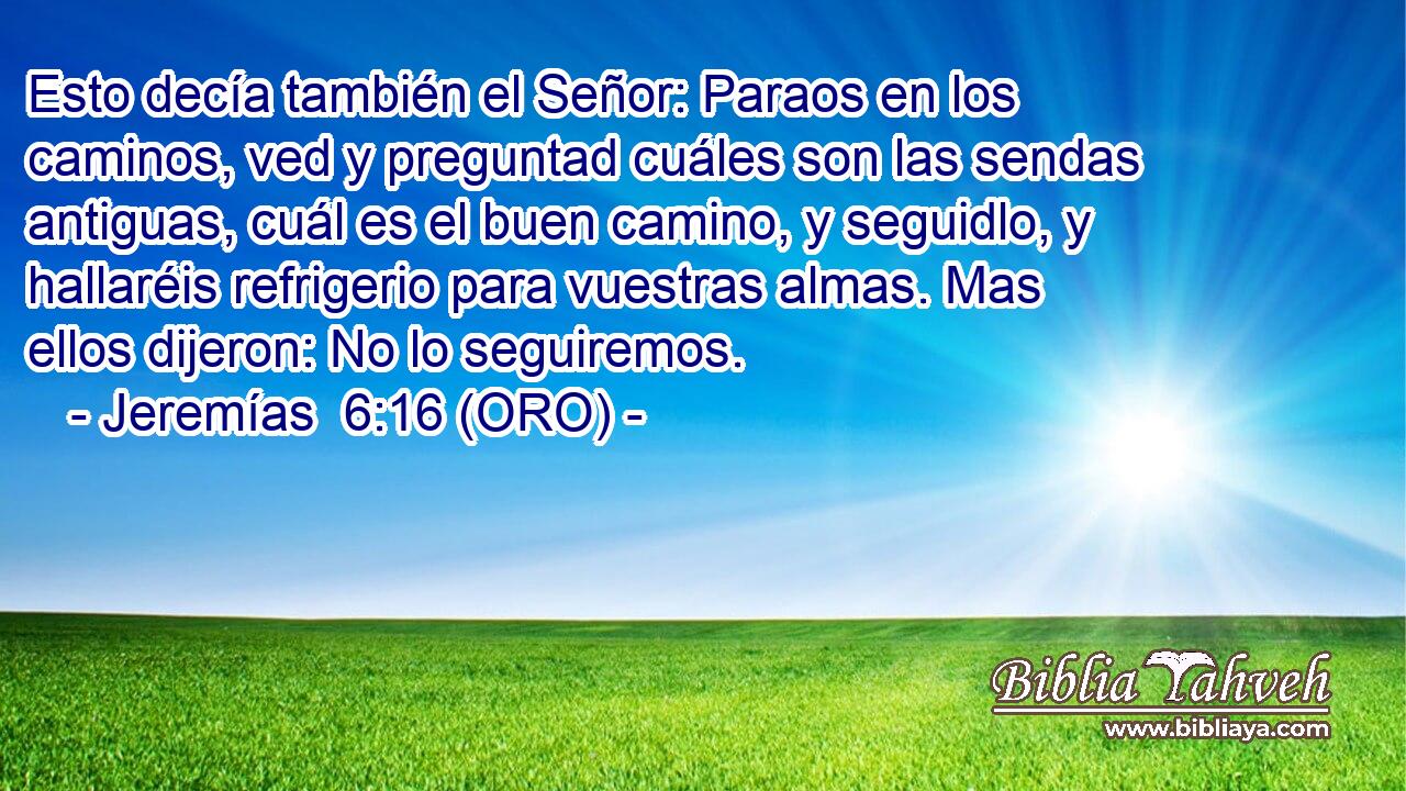  Esto decía también el Señor: Paraos en los caminos, ved y preguntad cuáles son las sendas antiguas, cuál es el buen camino, y seguidlo, y hallaréis refrigerio para vuestras almas. Mas ellos dijeron: No lo seguiremos. 