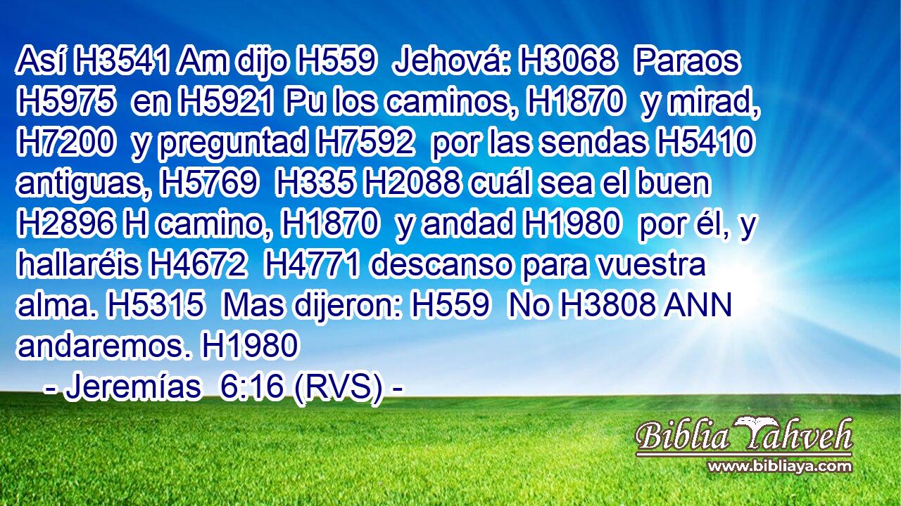 Así H3541 Am dijo H559  Jehová: H3068  Paraos H5975  en H5921 Pu los caminos, H1870  y mirad, H7200  y preguntad H7592  por las sendas H5410  antiguas, H5769  H335 H2088 cuál sea el buen H2896 H camino, H1870  y andad H1980  por él, y hallaréis H4672  H4771 descanso para vuestra alma. H5315  Mas dijeron: H559  No H3808 ANN andaremos. H1980  