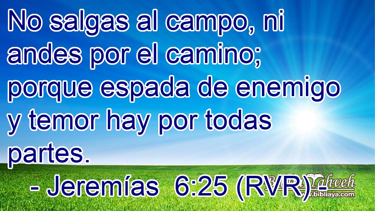 No salgas al campo, ni andes por el camino; porque espada de enemigo y temor hay por todas partes.