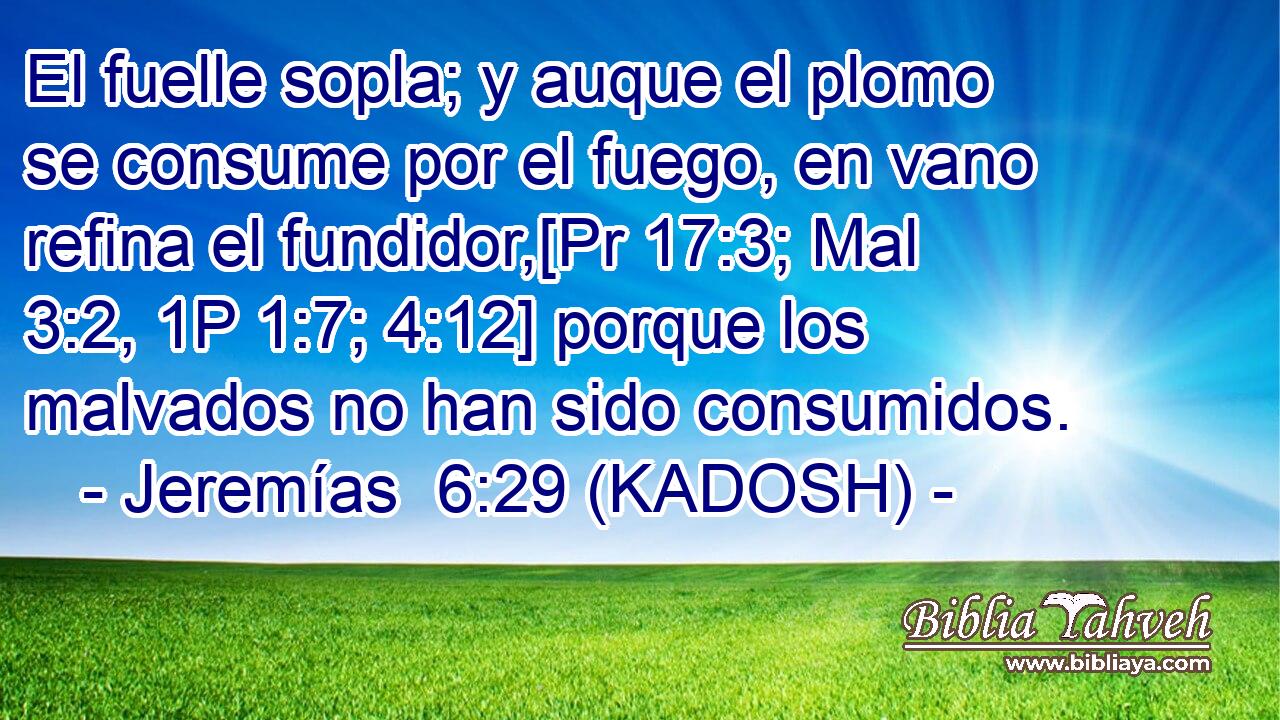  El fuelle sopla; y auque el plomo se consume por el fuego, en vano refina el fundidor,[Pr 17:3; Mal 3:2, 1P 1:7; 4:12] porque los malvados no han sido consumidos. 