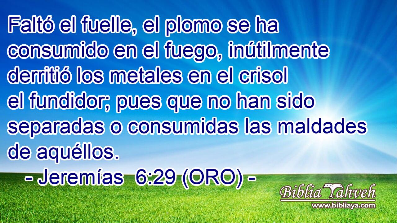  Faltó el fuelle, el plomo se ha consumido en el fuego, inútilmente derritió los metales en el crisol el fundidor; pues que no han sido separadas o consumidas las maldades de aquéllos. 