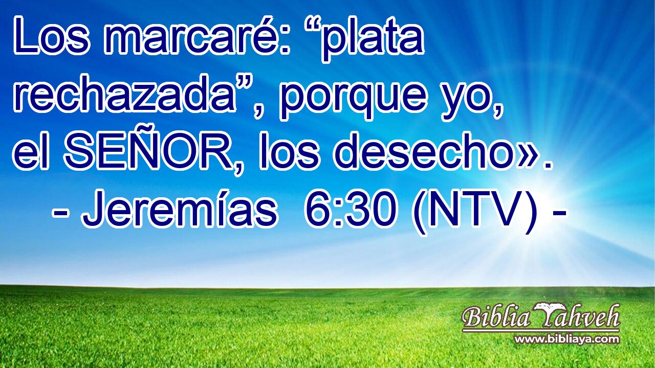 Los marcaré: “plata rechazada”, porque yo, el SEÑOR, los desecho».