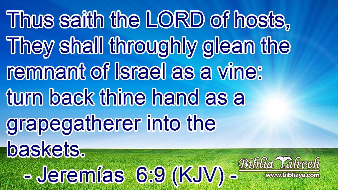 Thus saith the LORD of hosts, They shall throughly glean the remnant of Israel as a vine: turn back thine hand as a grapegatherer into the baskets.
