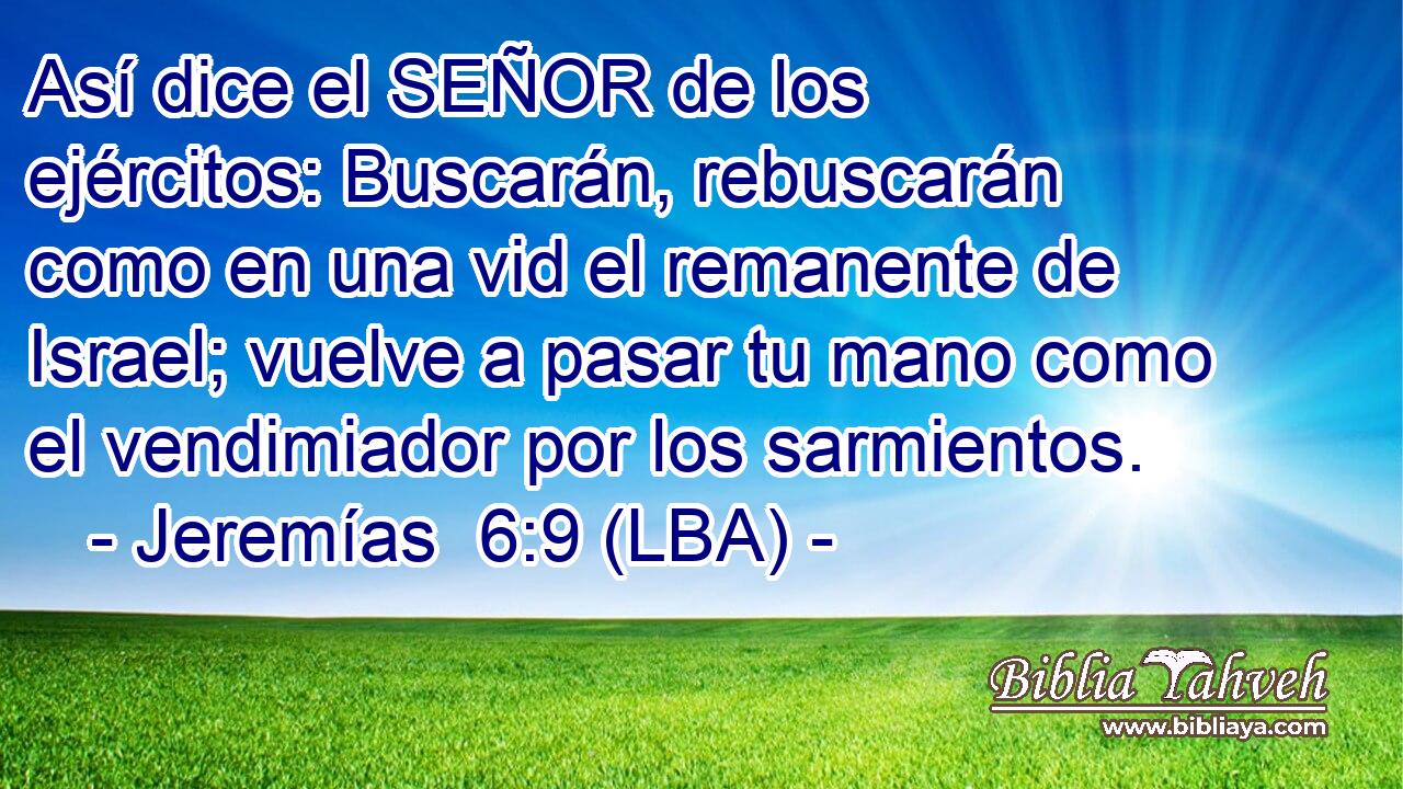 Así dice el SEÑOR de los ejércitos: Buscarán, rebuscarán como en una vid el remanente de Israel; vuelve a pasar tu mano como el vendimiador por los sarmientos.