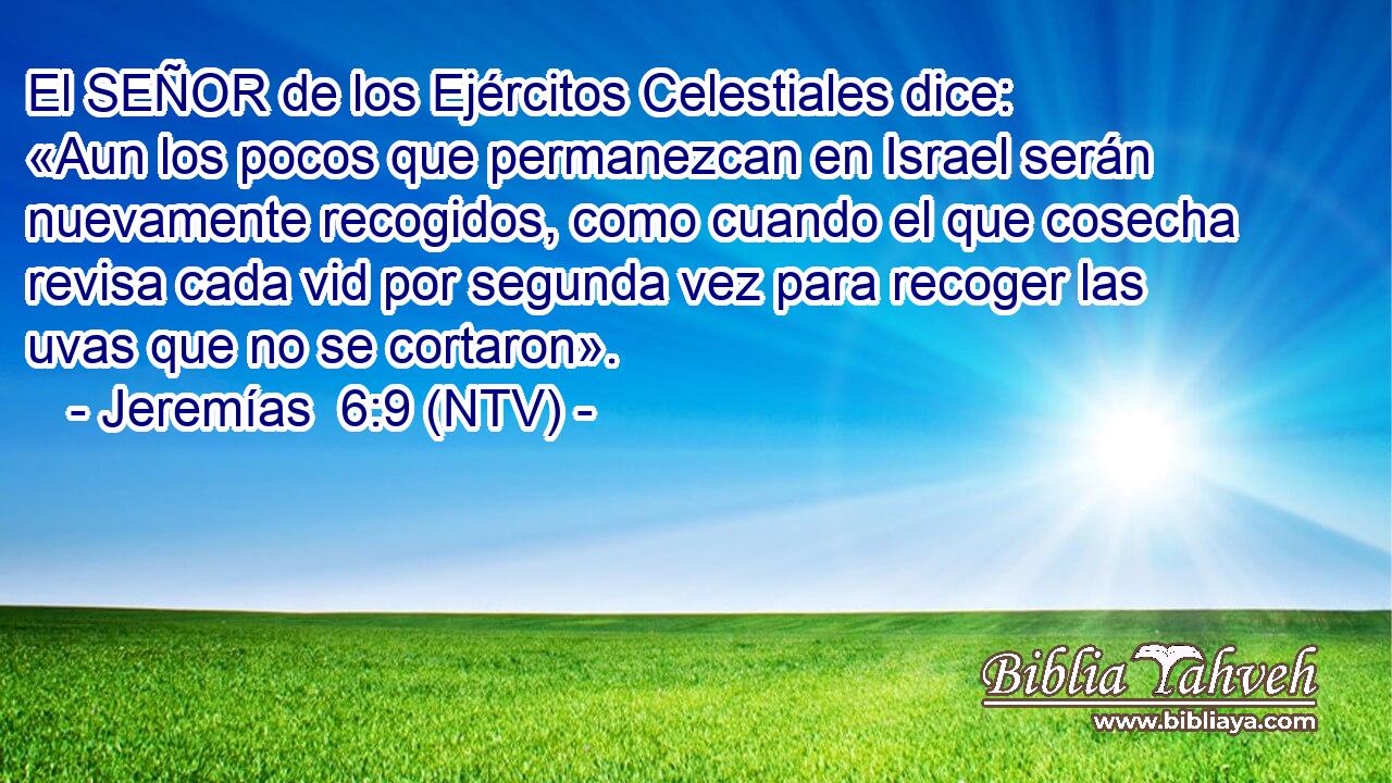 El SEÑOR de los Ejércitos Celestiales dice: «Aun los pocos que permanezcan en Israel serán nuevamente recogidos, como cuando el que cosecha revisa cada vid por segunda vez para recoger las uvas que no se cortaron».