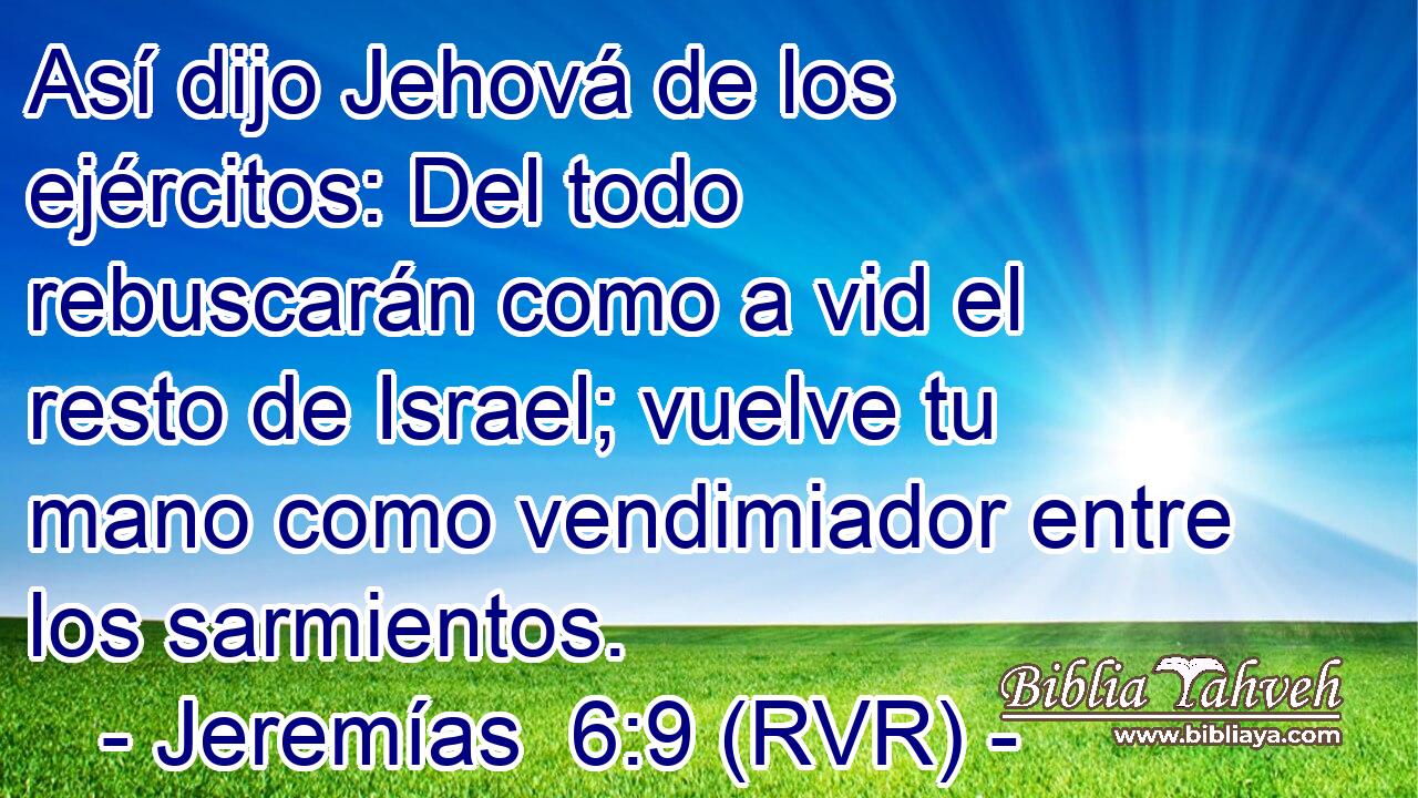 Así dijo Jehová de los ejércitos: Del todo rebuscarán como a vid el resto de Israel; vuelve tu mano como vendimiador entre los sarmientos.