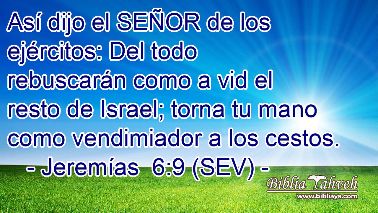 Así dijo el SEÑOR de los ejércitos: Del todo rebuscarán como a vid el resto de Israel; torna tu mano como vendimiador a los cestos.